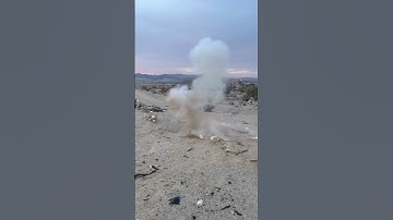 Ants Nest Vs Quarter Stick 🤣 #shortsviral  #mustwatch #warcrimes