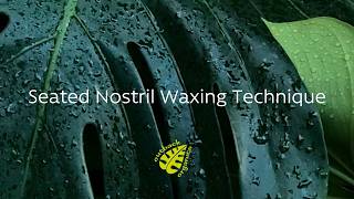 How to use Outback Organics Gold peelable wax - video #1 - the