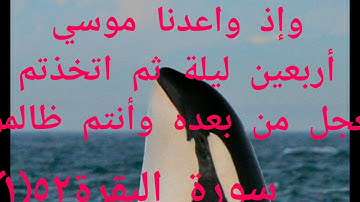 وإذ واعدنا موسي أربعين ليلة..)سورة البقرة52(1 )