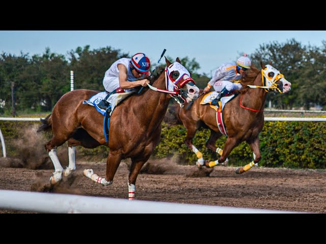 El Payaso Está De Regresó, (El Caballo Más Rápido Del Mundo) El Fresno 2022  - YouTube