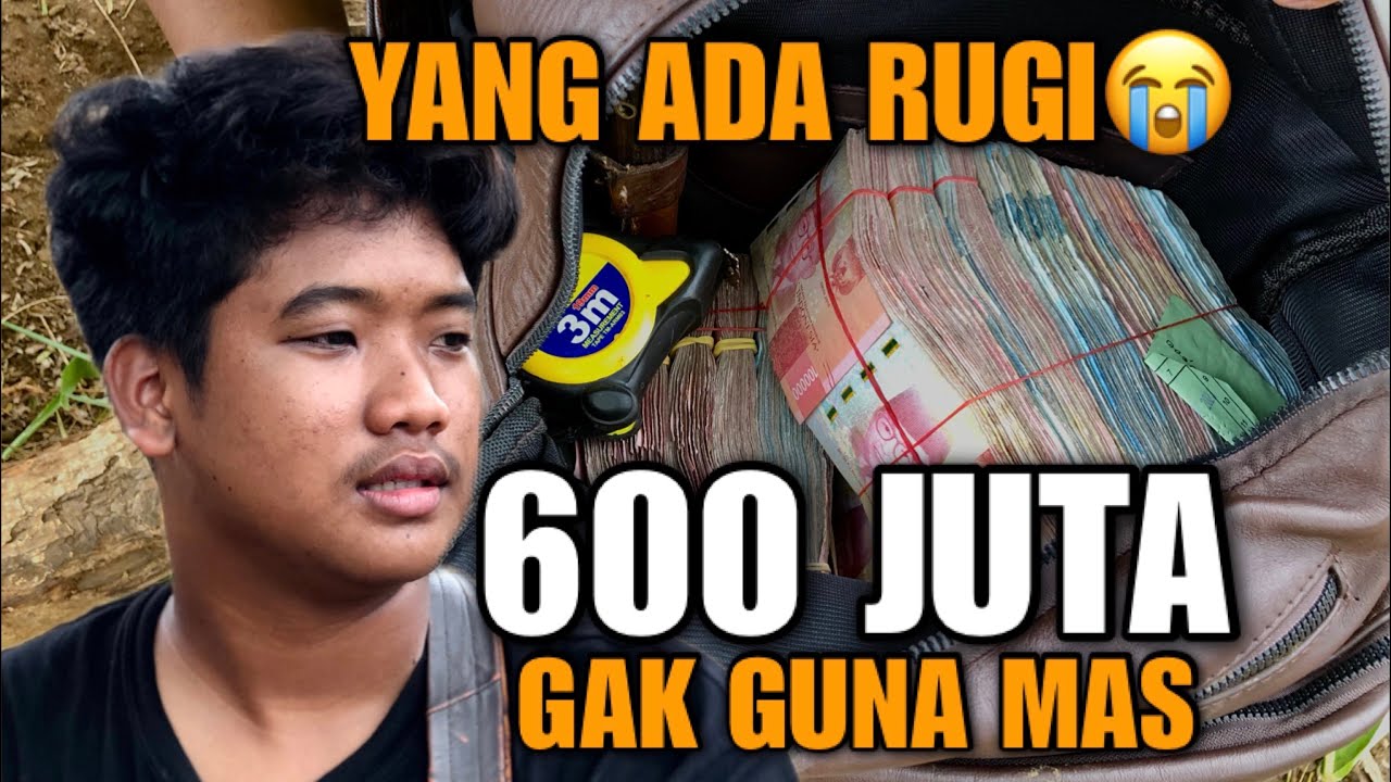 DAPET CAPEK, RUGI ONGKOS😭❗️JURAGAN MUDA DAPAT 3 Ekor, Duit 600 Juta RASANYA GAK FUNGSI BOS