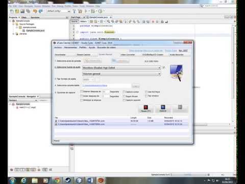 Uso del Scanner,String,Double e Int en NetBeans