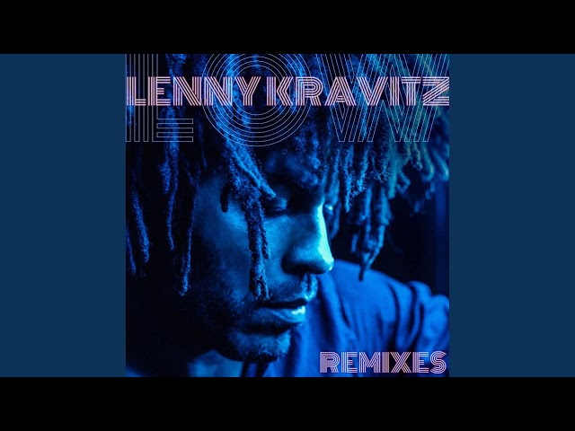 Lenny Kravitz - Low DIMMI Remix