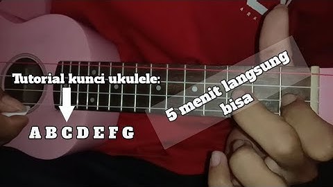 TUTORIAL KUNCI DASAR UKULELE | CHORD MUDAH DI JAMIN LANGSUNG BISA