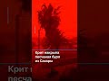 Крит накрыла песчаная буря из Сахары #новостисегодня