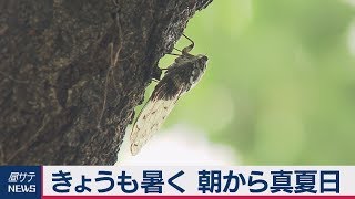 きょうも熱く 朝から真夏日