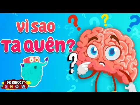 Tại sao bạn bị quên? - Kiến thức thú vị
