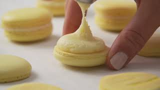 Lemon Custard Macarons