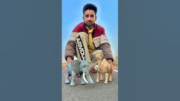 Remote Control  Elephant & Camel Testing #rcelephant #rccamel #mkrshorts