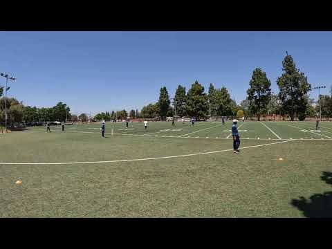 CricBay: Juggernaut v Alpha Lions - Alpha Lions innings 1 of 2