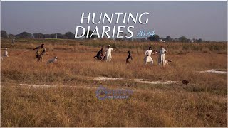 Hare Hunting with Greyhounds In Punjab | Fastest Dog Breeds On This Planet #ViralBe @ExplorePotohar