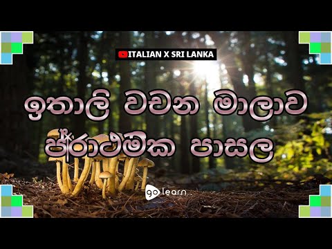 ඉතාලි වචන මාලාව ප්‍රාථමික පාසල | Golearn