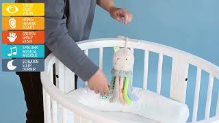 Fehn Octopus