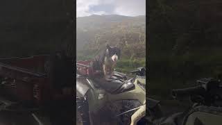 The Scottish weather never disappoints - echo dose not look happy #floodland #weather