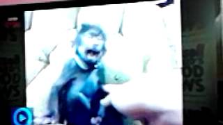 Laughing Monkey!!!!