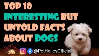 10 Most Interesting Fun Facts about Dogs || PetHolics by PetHolics 520 views 2 years ago 2 minutes, 1 second