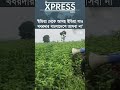 চোখের সামনে পুশ ইন ঠেকিয়ে দিল বিজিবি #bgb_bangladesh #borderguardbangladesh #bgb