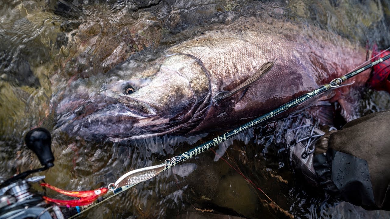 ジェットセッター 86C DS [ハチロク2024MID] ☆希少完売品☆ ジェットセッター86C DS ハチロク2024MID