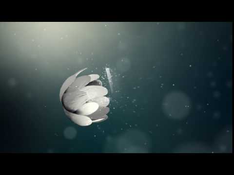 [AE片頭動畫]WiiSinDra:Flower Logo Intro