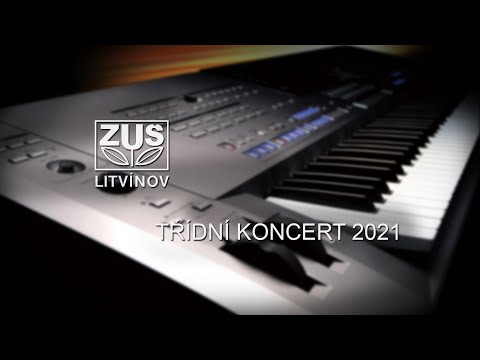 Třídní koncert ZUŠ