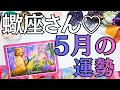 2026年5月蠍座の運勢　蠍座さん！時がきたよ⏰💕覚醒するよ🔮境界線を張り巡らせて🦚🦚自分とにかく大切にすることで大成功確定！！さらに突破口も開くミラクル連発だ🤗🫶💕【星座別リーディング】