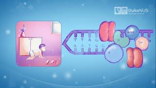 Telomere's role in human health and how we can measure them [PART 1]