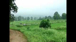 Octonary Ingredients Of Echinochloa Frumentacea Formuls Pankaj Oudhias Medicinal Plant Database