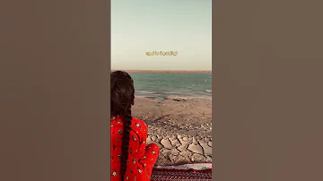 حبك مثل قصر بنوه بدون موسيقى ذوقي للناس الراقيه 