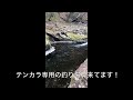 【鱒研blog】20220312 黒川テンカラ専用C&R区間 釣りしてません！下見です。　日光市 nikko japan