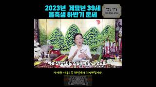 (용한점집)39세 을축생 85년생 2023년 계묘년 하반기 운세