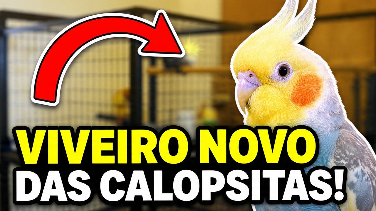 NOVO VIVEIRO PARA CALOPSITAS MANIA | GAIOPAR 239
