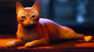 Новый Симулятор КОТЕНКА #3 Stray. Рыжий кот против Монстров Зурков в Трущобах на Пурумчата screenshot 5