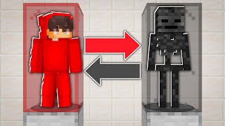 BRAIN SWAP: I BECAME A WITHER SKELETON in Minecraft