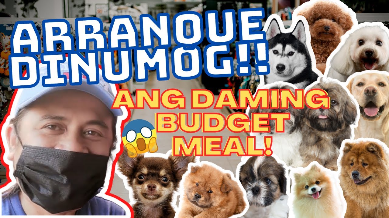 Arranque Price Update Budget Meal Puppies YouTube