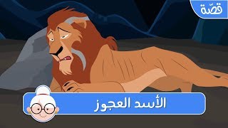 الأسد العجوز   قصص اطفال قبل النوم   حكايات اطفال بالعربية - اسمعها