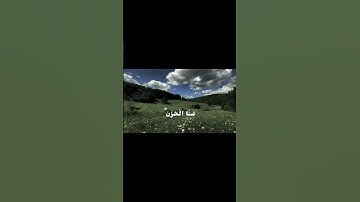 وَقَالُوا الْحَمْدُ لِلَّهِ الَّذِي أَذْهَبَ عَنَّا الْحَزَنَ | #سورة_فاطر 