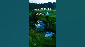 اكتب شئ تؤجر علية #دعاء_مستجاب #تلاوة_خاشعة #تلاوات #دعم #حالات #اكسبلور #تلاوة_جميلة #