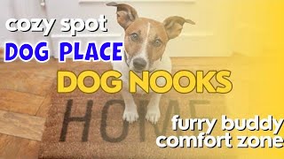 A Perfect Dog Place for Comfort and Joy! by A dogsy 4 views 9 months ago 2 minutes, 26 seconds