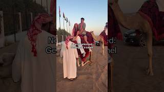 POV: You Thought Getting Off a Camel Would Be Graceful 🐪😂 #shorts #travel #fyp