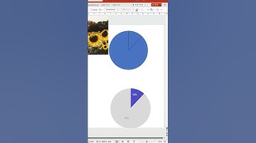 도형과 사진으로 파이 그래프 디자인 업그레이드 하는 법 #데이터시각화 #ppt #정보디자이너ssen #shorts