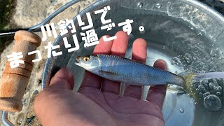【ちょい釣り】【Vlog】近所の川でのんびりと川釣り