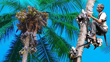 Coconut Tree Climbing Machine | Coconut Tree Climber Bike