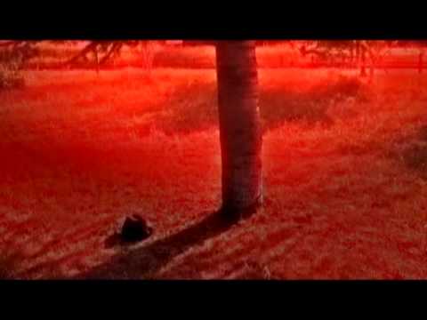 ALIEN FORCE THE INVADERS!  Stopmotion