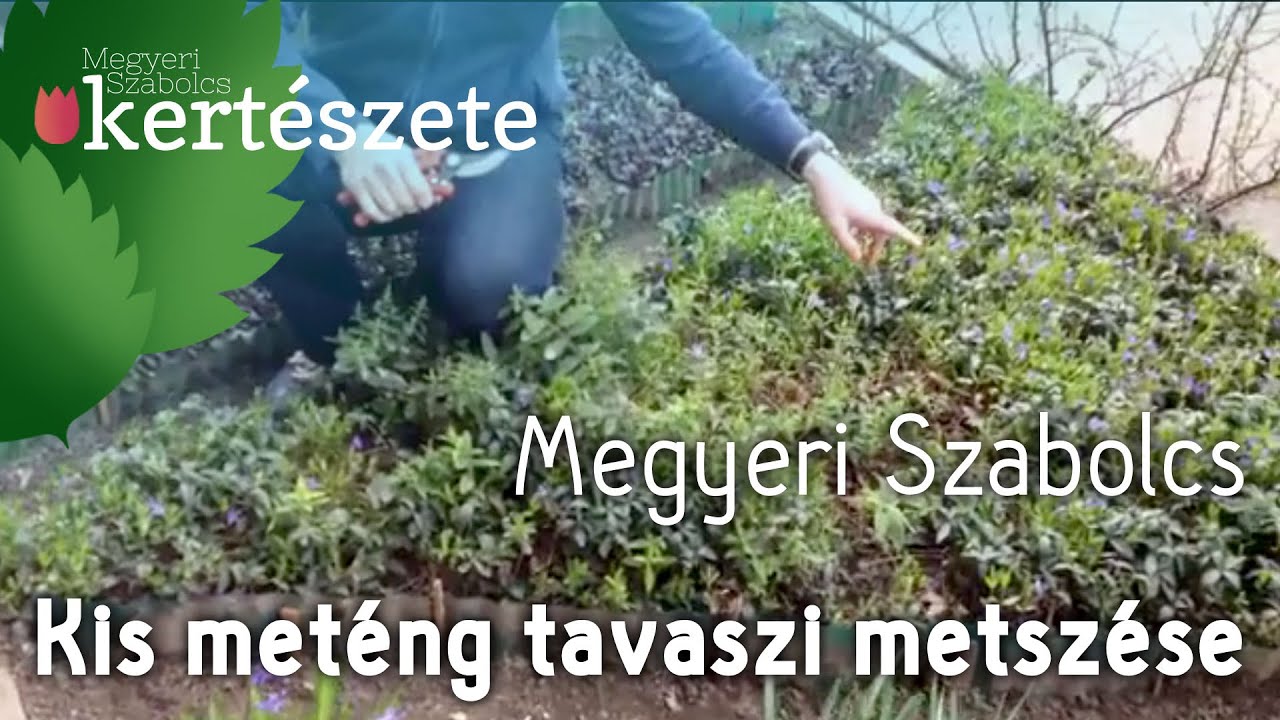 zsibbadt kéz fáj az ízületekről mellkasi ízületi fájdalom