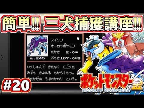 ポケモン金銀 ガチ解説 三犬捕獲講座 ポケットモンスター金銀 Vc版 攻略実況 Part Youtube