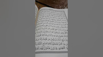 سورة هود: تلاوة طيبة