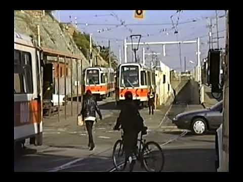 Video 295 San Francisco 1 Mar 1994 