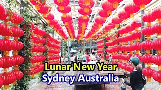 Rainy Day Walk on LUNAR NEW YEAR in SYDNEY AUSTRALIA