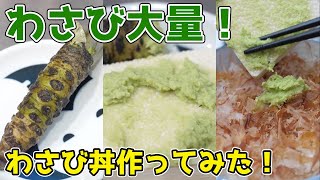 【わさび大量！】わさび丼って本当に美味しいの？