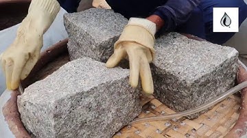 vidéo hướng dẫn làm nước mắm truyền thống tại nhà ngon và sạch, đủ tiêu chuẩn châu Âu